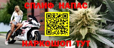 дживик Будённовск